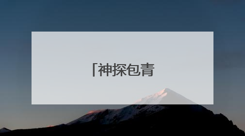 神探包青天的老婆