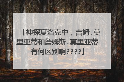 神探夏洛克中，吉姆.莫里亚蒂和詹姆斯.莫里亚蒂有何区别啊????