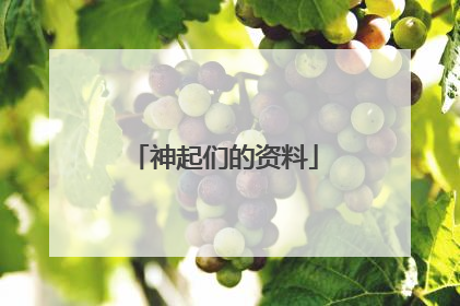 神起们的资料