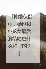 神雕侠侣中,杨过和小龙女最后的结局是什么样子的?