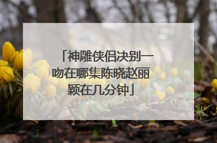 神雕侠侣决别一吻在哪集陈晓赵丽颖在几分钟