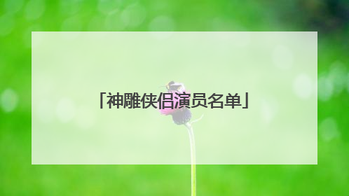 神雕侠侣演员名单