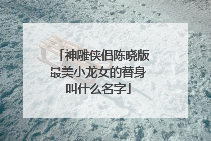 神雕侠侣陈晓版最美小龙女的替身叫什么名字