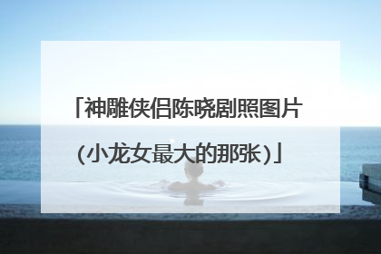 神雕侠侣陈晓剧照图片(小龙女最大的那张)