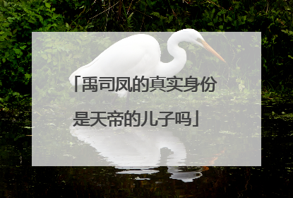 禹司凤的真实身份是天帝的儿子吗