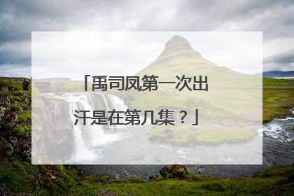 禹司凤第一次出汗是在第几集？