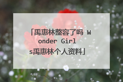 禹惠林整容了吗 Wonder Girls禹惠林个人资料