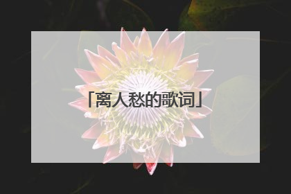 离人愁的歌词