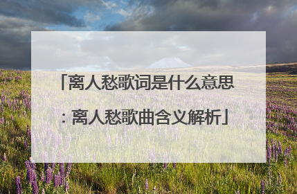 离人愁歌词是什么意思：离人愁歌曲含义解析