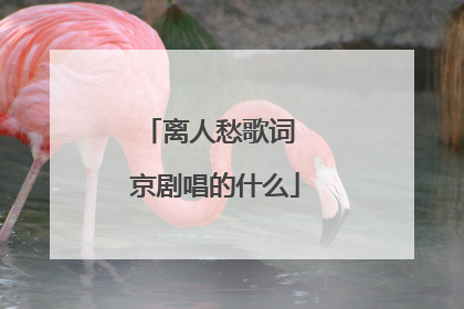 离人愁歌词 京剧唱的什么