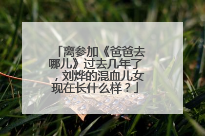 离参加《爸爸去哪儿》过去几年了,刘烨的混血儿女现在长什么样?