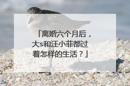 离婚六个月后,大s和汪小菲都过着怎样的生活?