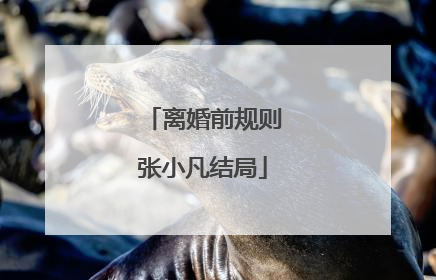 离婚前规则张小凡结局