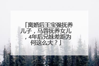 离婚后王宝强抚养儿子,马蓉抚养女儿,4年后兄妹差距为何这么大?