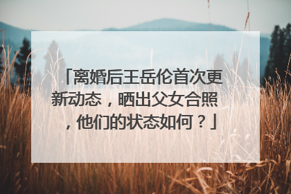 离婚后王岳伦首次更新动态,晒出父女合照,他们的状态如何?