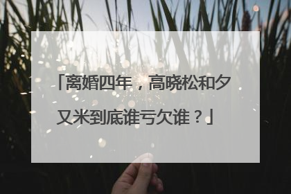 离婚四年，高晓松和夕又米到底谁亏欠谁？