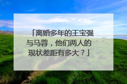 离婚多年的王宝强与马蓉，他们两人的现状差距有多大？