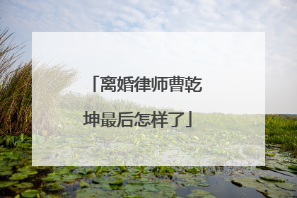 离婚律师曹乾坤最后怎样了