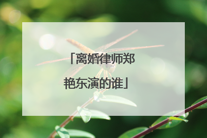 离婚律师郑艳东演的谁