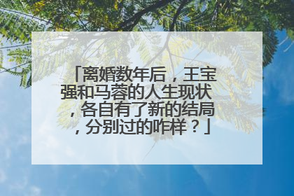 离婚数年后,王宝强和马蓉的人生现状,各自有了新的结局,分别过的咋样?