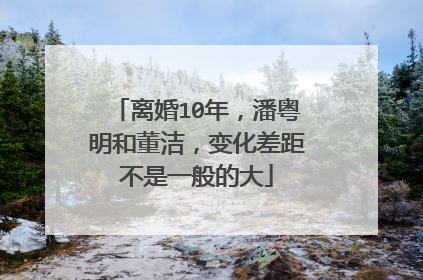 离婚10年,潘粤明和董洁,变化差距不是一般的大
