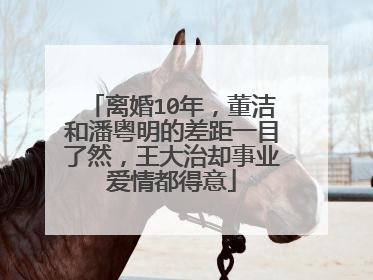 离婚10年,董洁和潘粤明的差距一目了然,王大治却事业爱情都得意