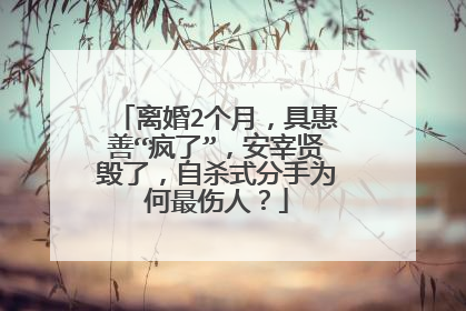 离婚2个月，具惠善“疯了”，安宰贤毁了，自杀式分手为何最伤人？