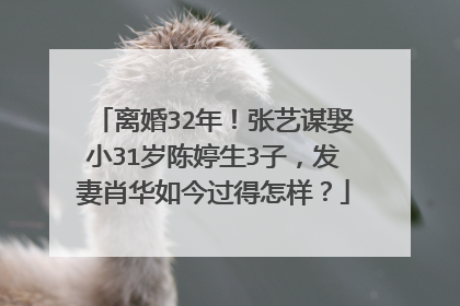 离婚32年!张艺谋娶小31岁陈婷生3子,发妻肖华如今过得怎样?