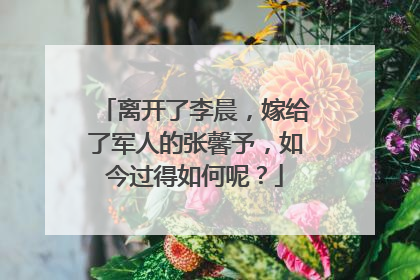 离开了李晨，嫁给了军人的张馨予，如今过得如何呢？