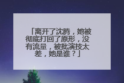 离开了沈腾，她被彻底打回了原形，没有流量，被批演技太差，她是谁？