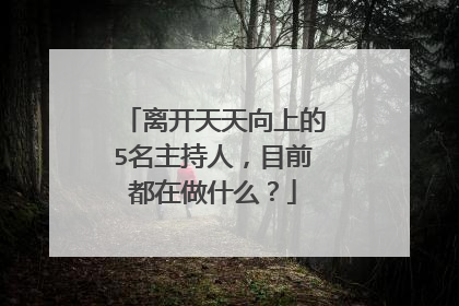 离开天天向上的5名主持人,目前都在做什么?