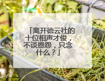 离开德云社的十位相声才俊，不谈恩怨，只念什么？