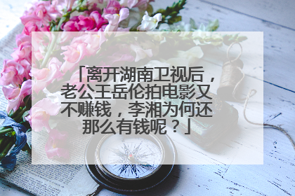 离开湖南卫视后，老公王岳伦拍电影又不赚钱，李湘为何还那么有钱呢？