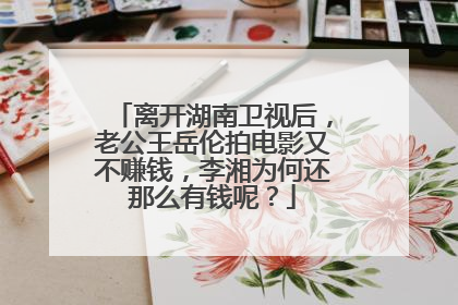 离开湖南卫视后，老公王岳伦拍电影又不赚钱，李湘为何还那么有钱呢？