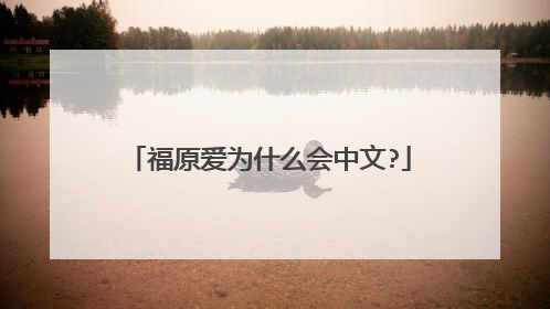 福原爱为什么会中文?