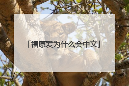 福原爱为什么会中文