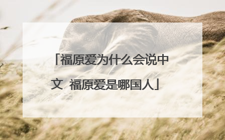 福原爱为什么会说中文 福原爱是哪国人