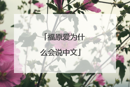 福原爱为什么会说中文