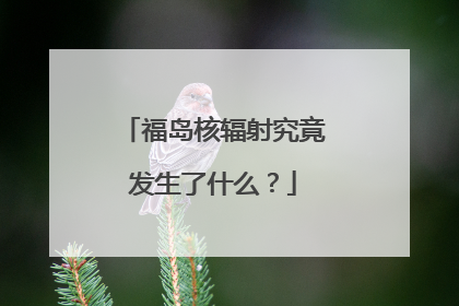 福岛核辐射究竟发生了什么？