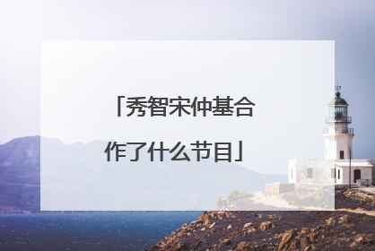 秀智宋仲基合作了什么节目