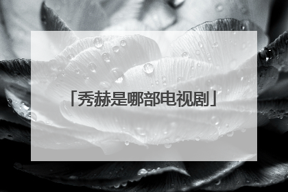 秀赫是哪部电视剧