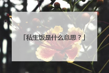 私生饭是什么意思？
