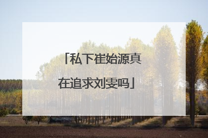 私下崔始源真在追求刘雯吗