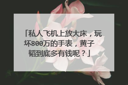 私人飞机上放大床，玩坏800万的手表，黄子韬到底多有钱呢？