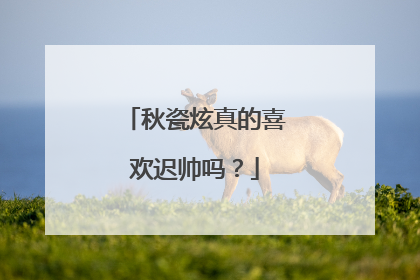 秋瓷炫真的喜欢迟帅吗?