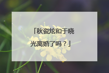 秋瓷炫和于晓光离婚了吗？