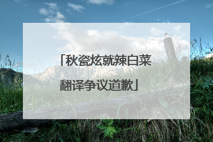 秋瓷炫就辣白菜翻译争议道歉
