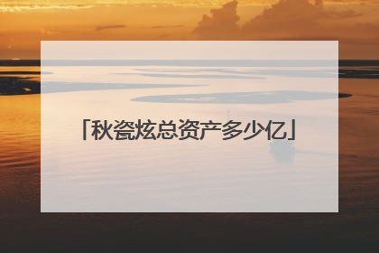 秋瓷炫总资产多少亿