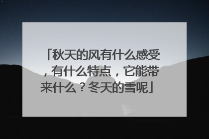秋天的风有什么感受，有什么特点，它能带来什么？冬天的雪呢