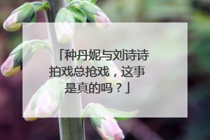 种丹妮与刘诗诗拍戏总抢戏，这事是真的吗？